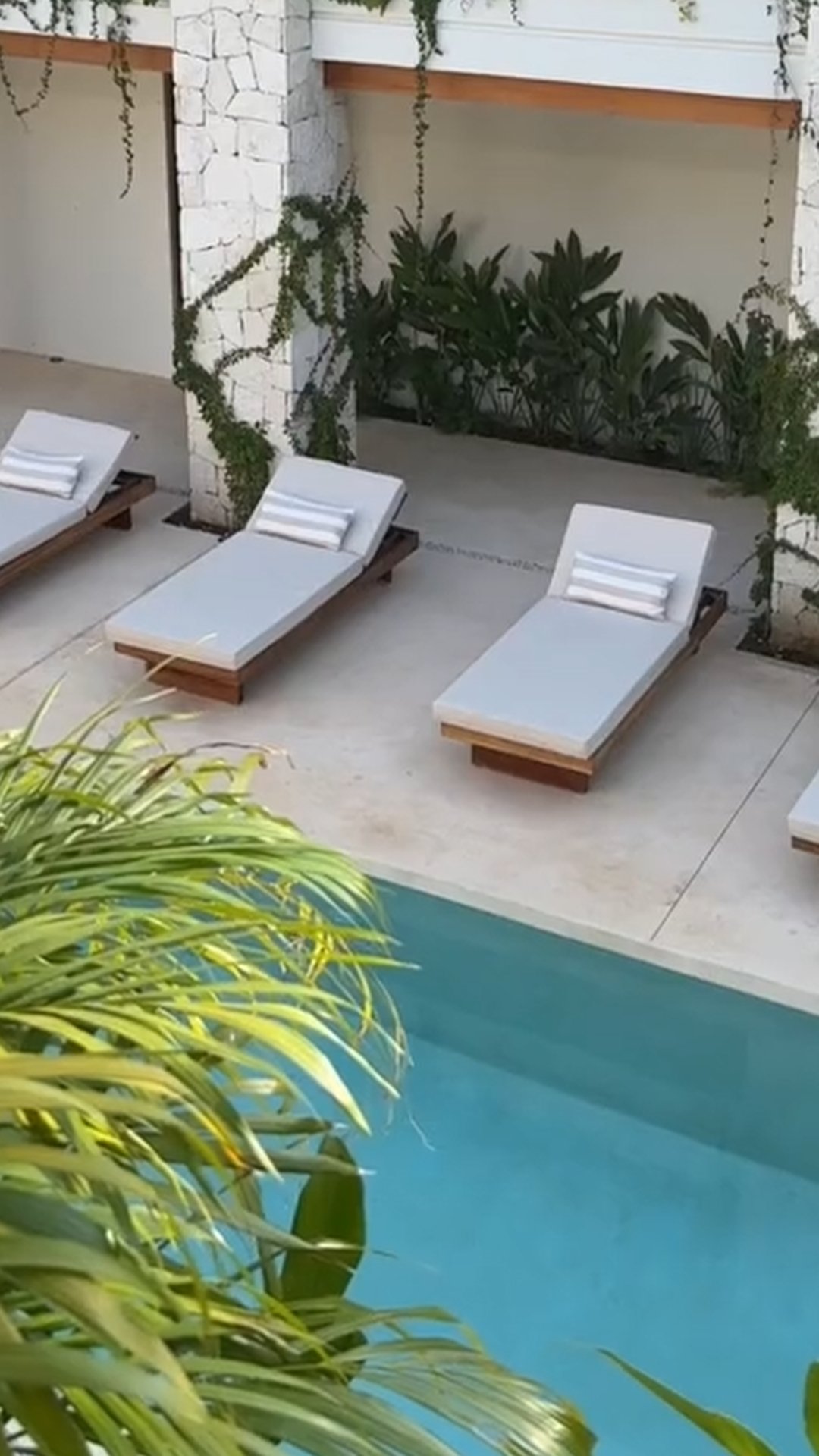 Canguu Bali UGC